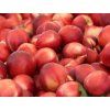 Nektarinka 'Harco'  Prunus persica 'Harco'