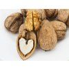 Ořešák 'Bohumil'  Juglans regia 'Bohumil'