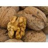 Ořešák 'Jupiter'  Juglans regia  'Jupiter'