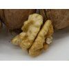 Ořešák 'Mars'  Juglans regia 'Mars'
