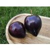 Švestkomeruňka 'Flavor Heart'  Prunus hybrid. 'Flavor Heart'