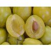 Švestka zakrslá 'Goldust'  Prunus domestica 'Goldust'