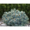 blue ball