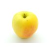 Jabloň 'Anežka'  Malus domestica 'Anežka'