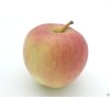 Jabloň 'Svetlana'  Malus domestica 'Svetlana'