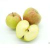 Jabloň 'Andego'  Malus domestica 'Andego'