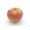 Jabloň 'Beforest'  Malus domestica 'Beforest'