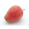 Jabloň 'Česká Pochoutka'  Malus domestica 'Česká Pochoutka'