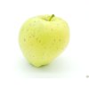 Jabloň 'Krasokvět Žlutý'  Malus domestica 'Krasokvět Žlutý'