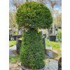 Tis �erven� (Balen� kontejner C90, Tvar v��ka 160-180cm, tvar 'houba')