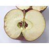 Jabloň 'Běloruské malinové'  Malus domestica 'Běloruské malinové'