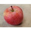 Jabloň 'Rubelit'  Malus domestica 'Rubelit'