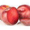 Švestkomeruňka 'Krasnaja Strela'  Prunus x hybrid 'Krasnaja Strela'